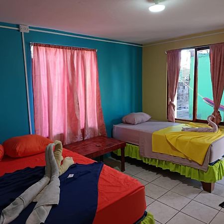 Cabinas Miss Miriam 2 トルトゥゲーロ エクステリア 写真